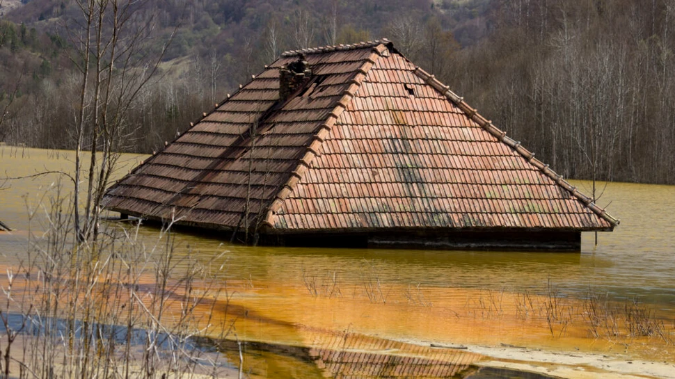 Cum să îți adaptezi casa pentru a rezista la inundații. Urgențe, pași esențiali și sfaturi