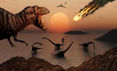 Extincţia dinozaurilor ar fi provocat tranziţia mamiferelor de la activitatea nocturnă la cea diurnă