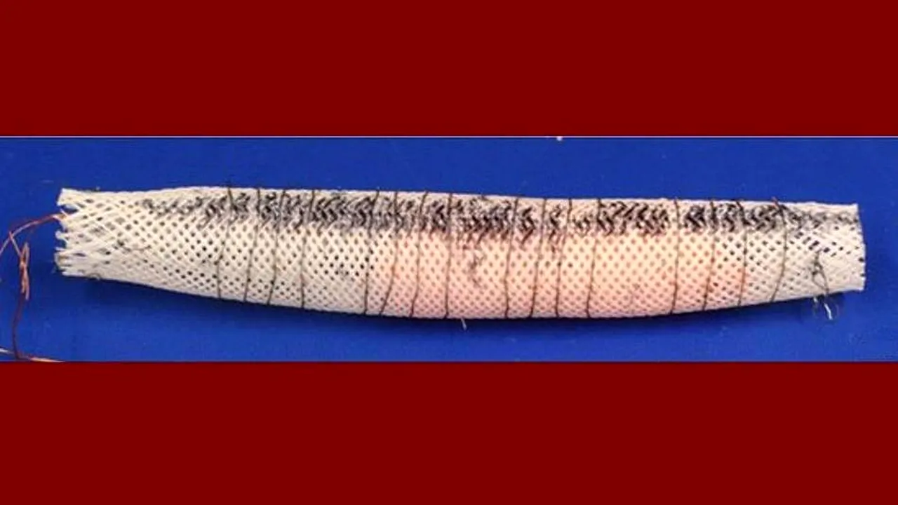 1-robot-meshworm 