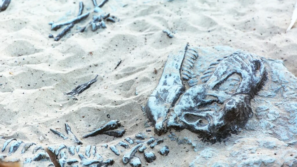 Fosila unei creaturi marine preistorice a uimit paleontologii
