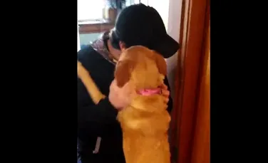 Momentul emoţionant în care un câine îşi revede stăpânul după două luni