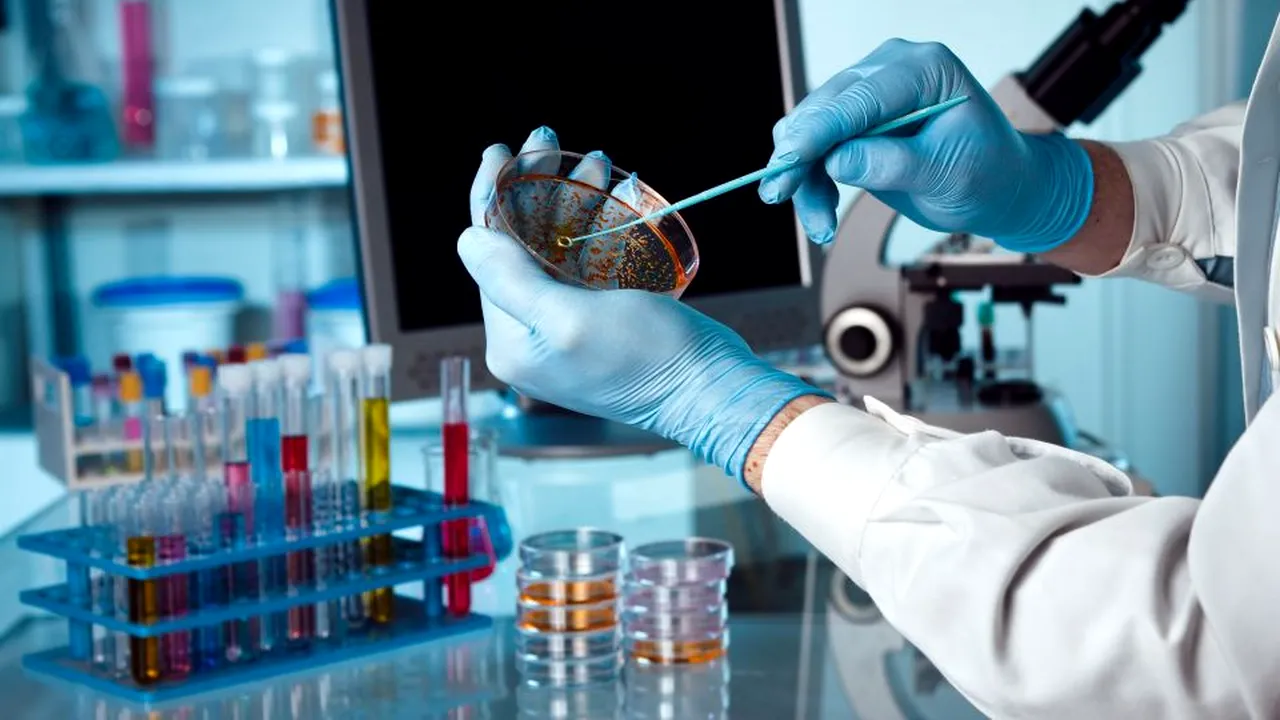 1-bacterie-laborator-123rf-descopera 