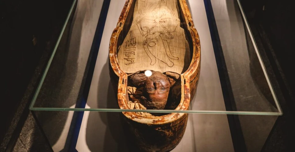 Tumoare făcută din dinți, găsită în pelvisul unei femei din Egiptul antic