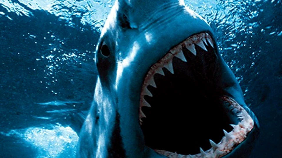 Aparitia rechinilor albi – o inselatorie