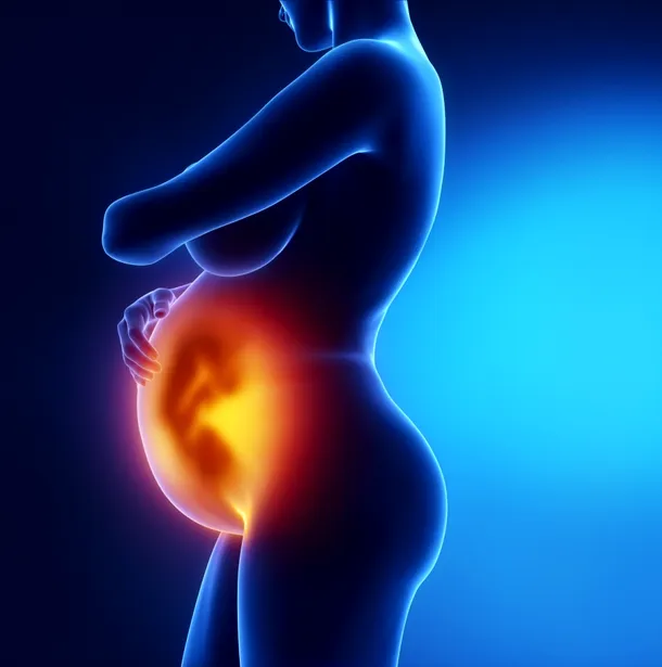 Naşterea la om a devenit un proces lung, dureros şi chiar riscant, ca urmare a ortostatismului.