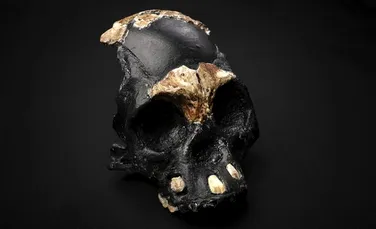 „Copilul întunericului” – un strămoș al oamenilor de acum 40.000 de ani, descoperit într-un pasaj îngust dintr-o peșteră
