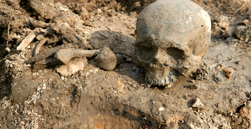 Craniile antice dezvăluie tainele încrucișării oamenilor cu neanderthalienii