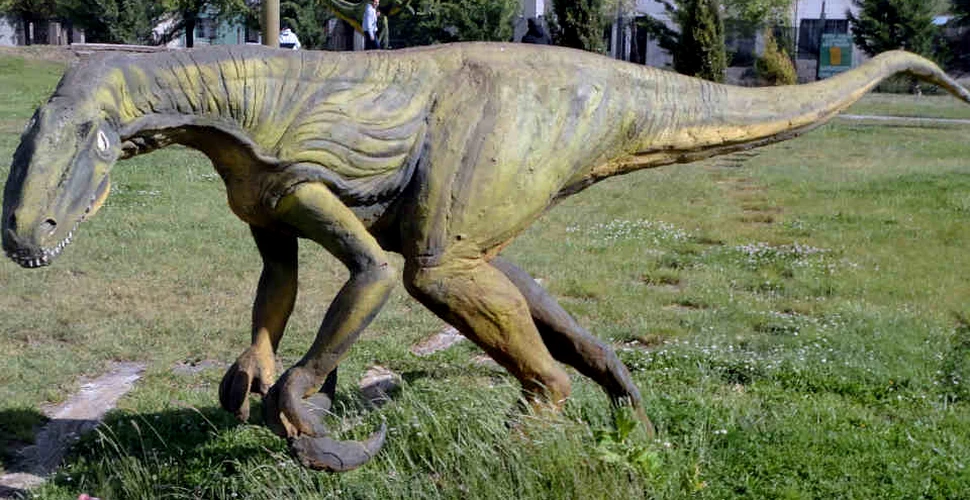 Megaraptor unul dintre cei mai aprigi vânători din Cretacic. Marele mister din jurul lui