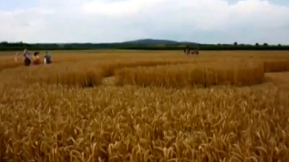 Cercuri misterioase au apărut într-un lan de grâu. Mii de oameni au venit să le vadă (VIDEO)