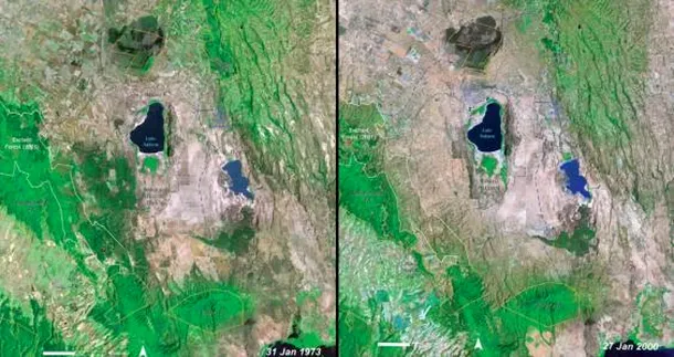 Defrişări masive, secarea lacurilor şi topirea gheţarilor, cum s-a schimbat Pământul în ultimi 70 de ani 