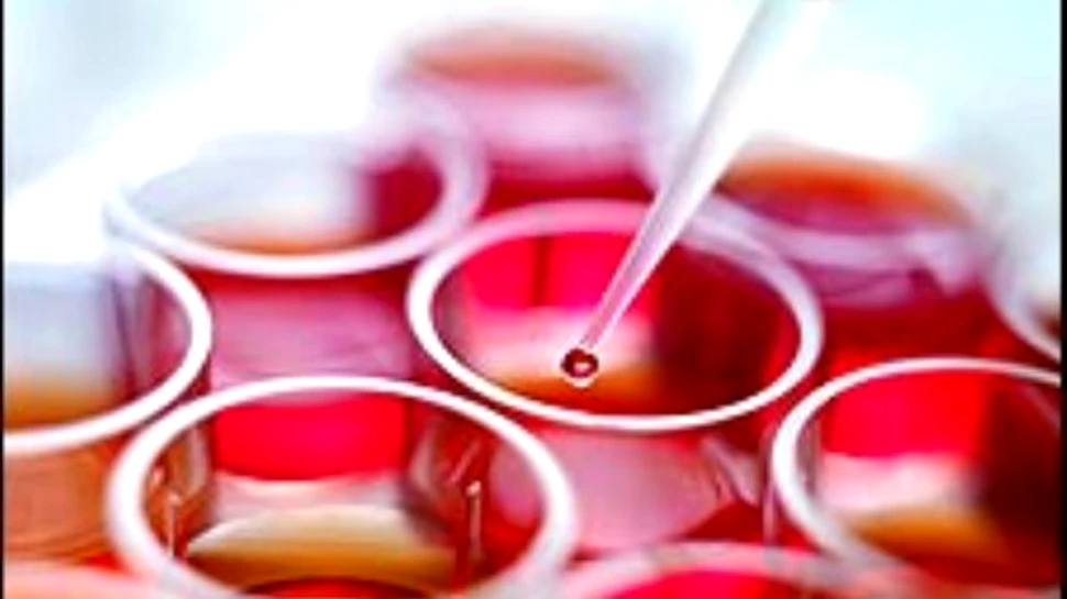 Testicolele? Cea mai buna sursa de celule stem