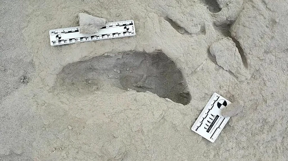 Amprente vechi de 1,5 milioane de ani a două specii diferite de strămoși umani, descoperite în același loc