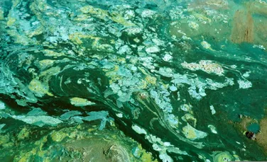 Ce fenomen a întârziat oxigenarea Pământului cu un miliard de ani?