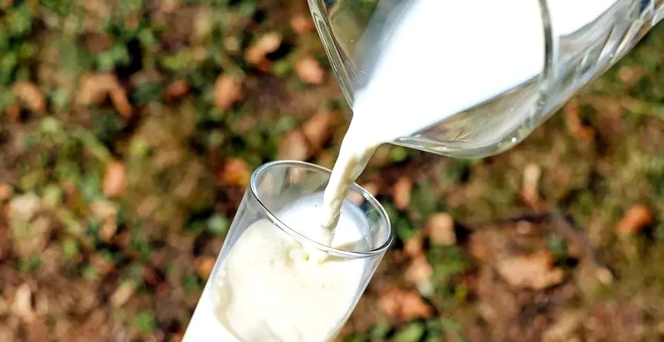 În SUA, fermierii sunt obligaţi să arunce laptele din cauza pandemiei