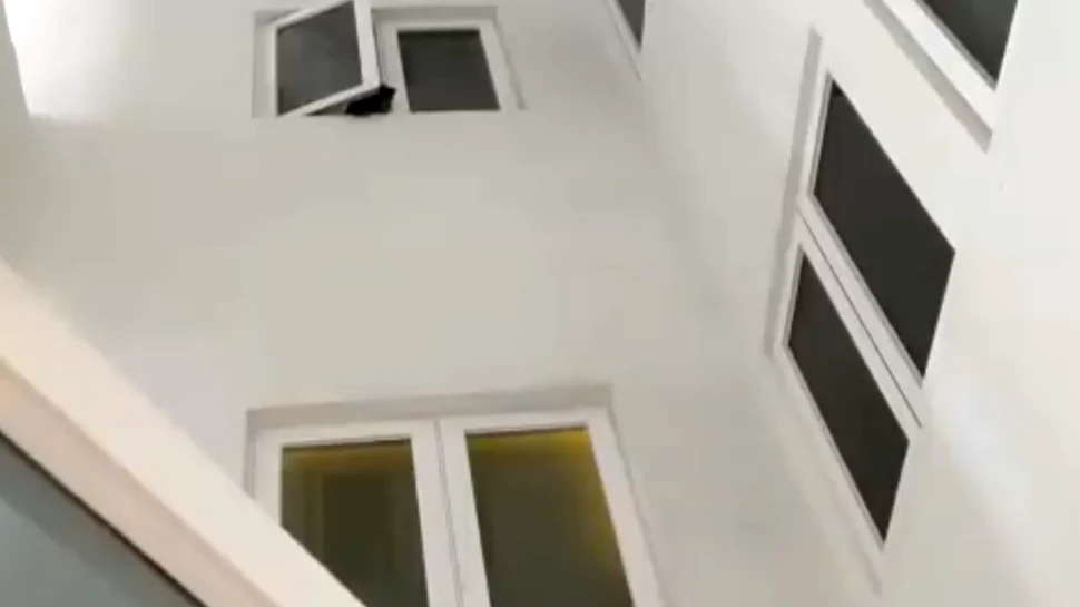 O femeie a salvat un urs pe cale de dispariţie, crezând că e un câine – VIDEO