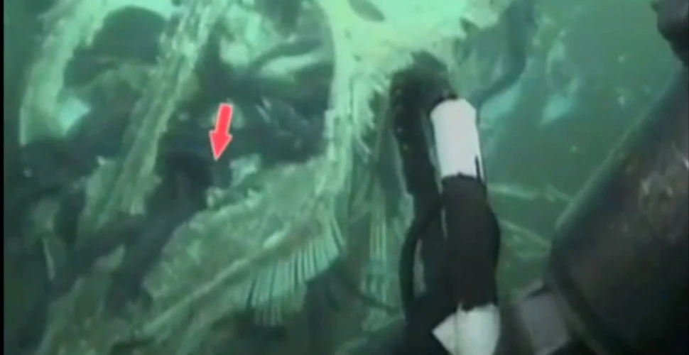 Descoperire surprinzătoare făcută de o sondă submarină, la mare adâncime. ”Este unic în lume” (VIDEO)