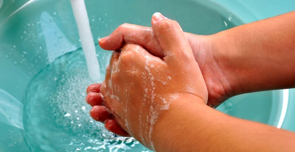 Test de cultură generală. De ce trebuie să te speli pe mâini?