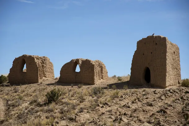 Bacteria scarlatinei a fost descoperită