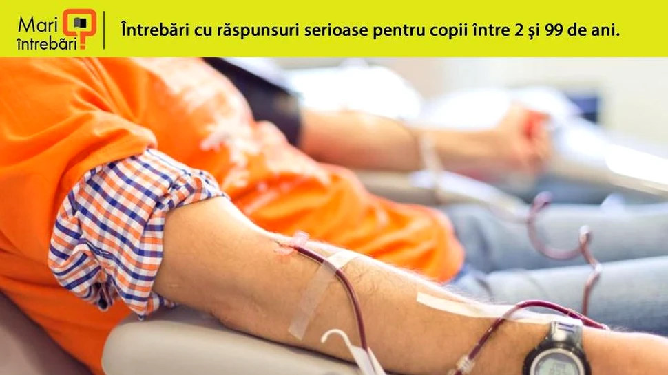 De ce persoanele decedate nu sunt alese ca donatori de sânge?