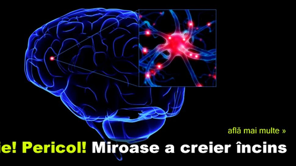 Atentie! Pericol! Miroase a creier incins
