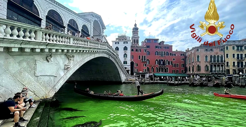 Apele Marelui Canal din Veneția „au înverzit” peste noapte
