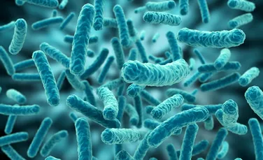 O nouă bacterie ”de coşmar” face ravagii în Statele Unite: este capabilă de răspândirea genelor care dau rezistenţă la antibiotice