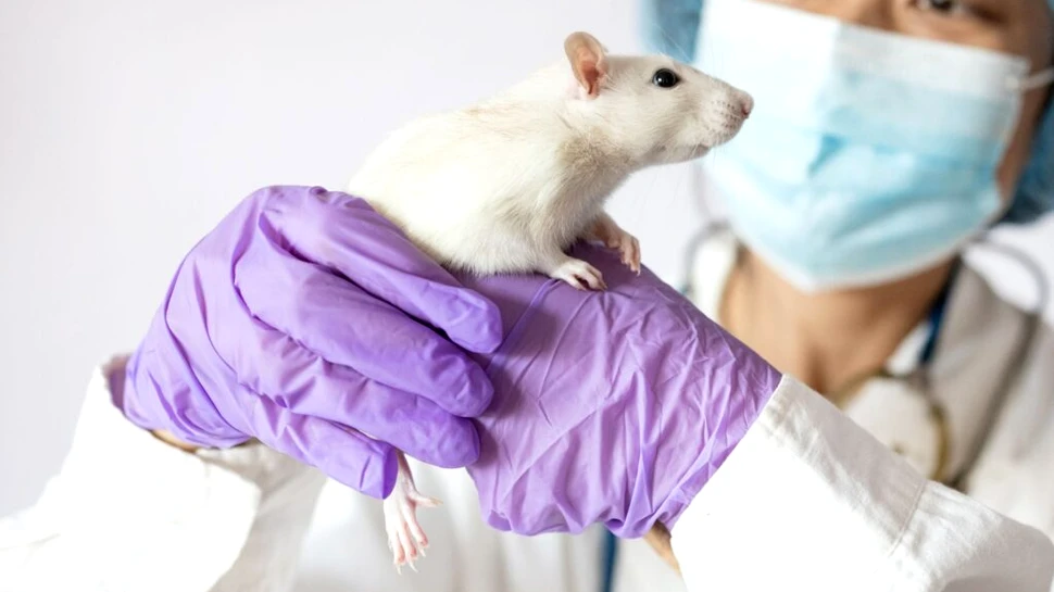 Un tratament a prelungit viața cu 73%, arată un nou studiu