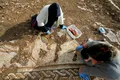 Un mozaic cu creaturi marine a fost excavat în Turcia