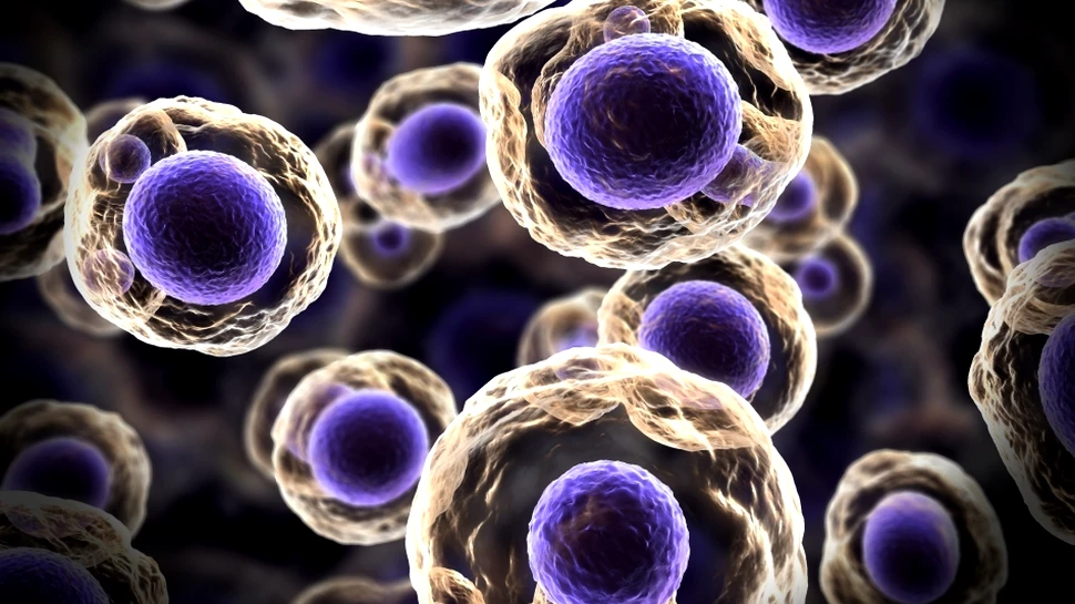 O metodă revoluţionară de „stopare” a cancerului, inventată de cercetătorii americani