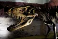 Un schelet de Tyrannosaurus rex vechi de 67 de milioane de ani, scos la licitație