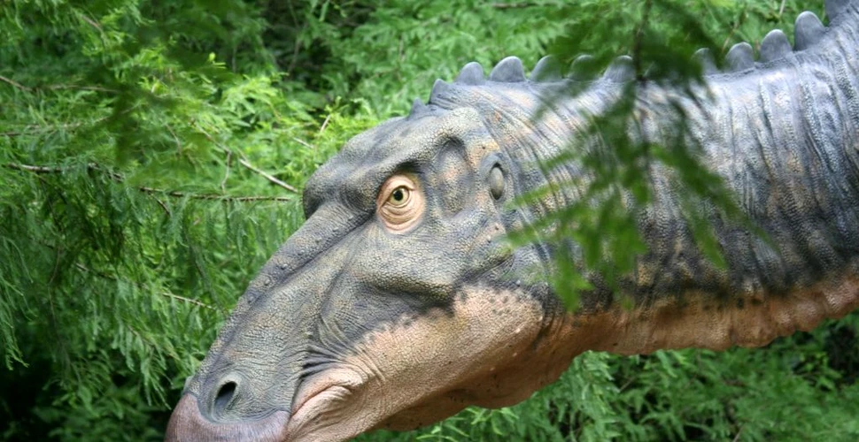 Vânătorii de fosile au dezgropat noi specii de dinozauri. Detaliile oferite de cercetători