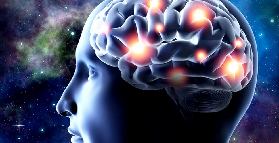 Creierul oamenilor bilingvi este mult mai eficient în stocarea energiei şi selectarea informaţiilor importante