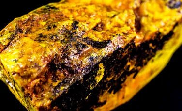 A fost descoperit primul nou izotop greu al uraniului din ultimele decenii