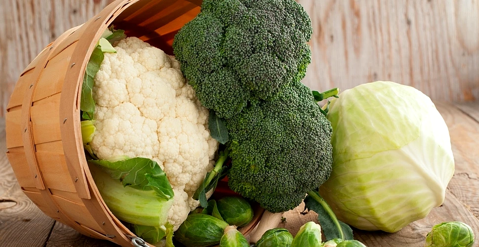 Broccoli ar putea oferi protecţie împotriva unui anumit tip de cancer