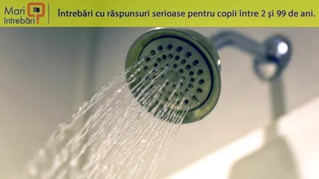Cât de des trebuie să facem duș?
