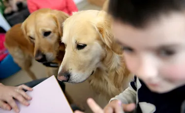 Cum îi pot ajuta câinii pe copiii care suferă de autism