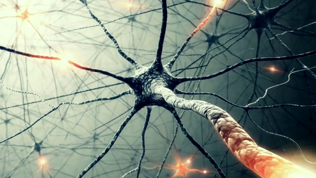 1-mirror-neurons 