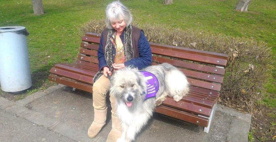 GALERIE FOTO. Viaţă de câine: metis mioritic abandonat în România a devenit câine de terapie pentru stăpâna lui cu autism