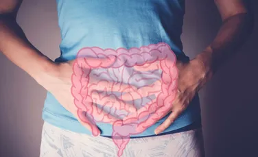 Bacteriile intestinale ar putea deveni o armă împotriva „chimicalelor eterne”