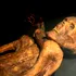 Ötzi Omul Ghețurilor era purtătorul celui mai răspândit virus din zilele noastre