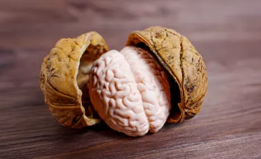 Un studiu a descoperit cel mai frumos mod prin care să-ți menții creierul tânăr