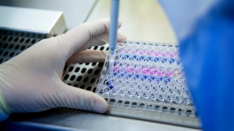 O terapie experimentală împotriva cancerului a funcționat la peste 70% din pacienți