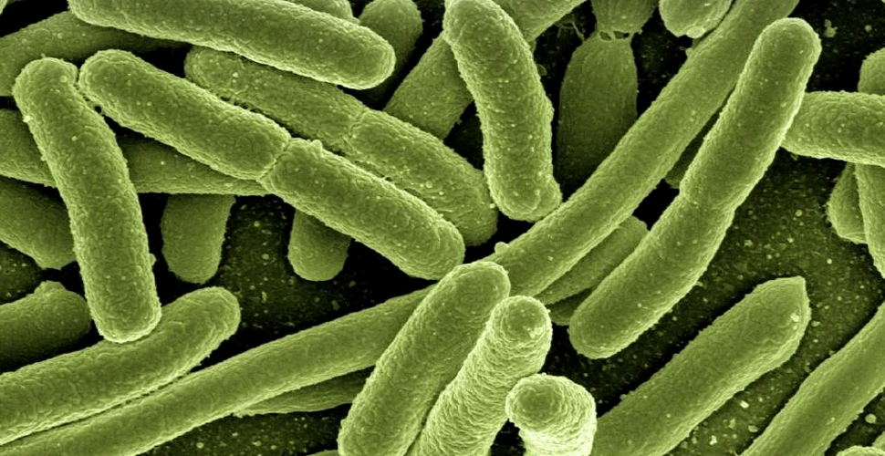 Microbii au o formă de memorie