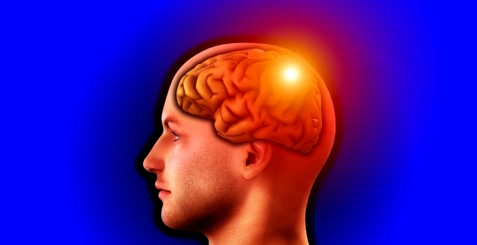 Conştient sau inconştient la comandă: a fost descoperit „întrerupătorul” din creier prin care poate fi manipulată instantaneu starea de conştienţă