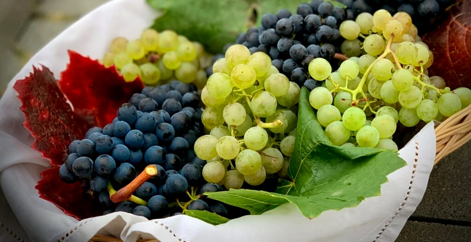 Cum poți obține un vin mai aromat? Secretul stă în boabele de struguri