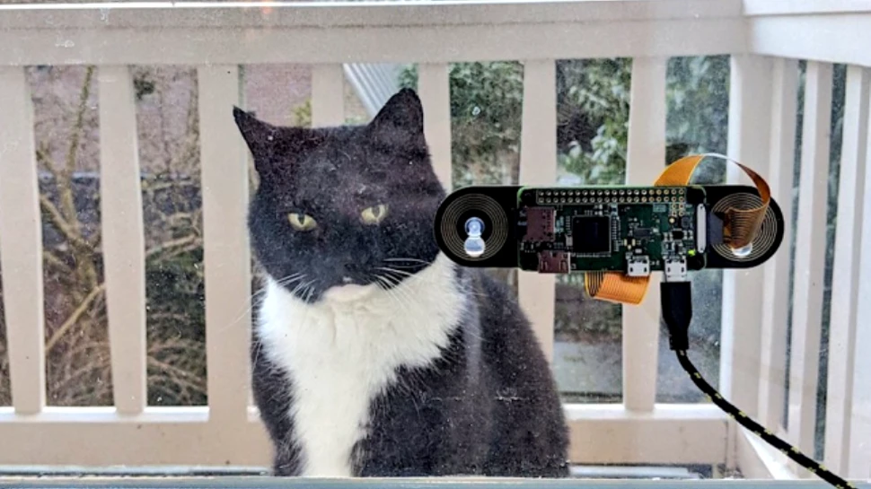 Ce nu face omul pentru stăpânul său, pisica: un inginer a construit un sistem de recunoaştere facială prin care uşa se deschide la apropierea felinei