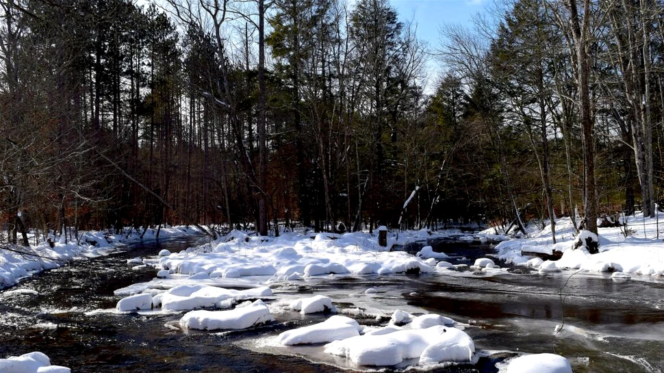Cum vor fi temperaturile până la mijlocul lunii martie? Prognoza ANM