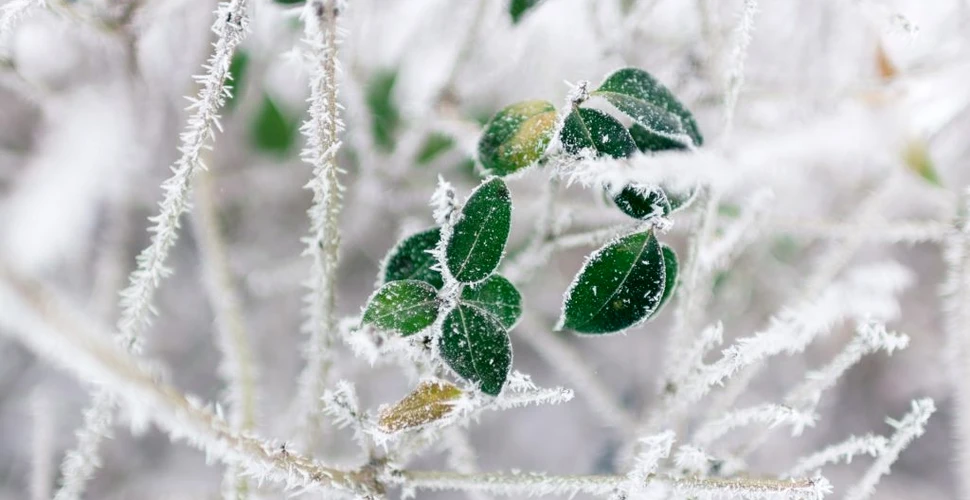 Cum va fi vremea în următoarele săptămâni. Temperaturi mai mici decât cele normale