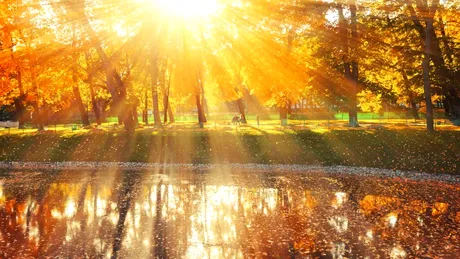 Iată cum lumina naturală poate să ajute diabeticii!