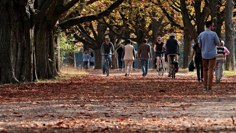 Cum va fi vremea în septembrie. Primele săptămâni aduc temperaturi scăzute